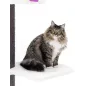 Arbre à Chat Maine Coon 117 Off White - Petrebels Arbre à Chat Maine Coon 117 Off White - Petrebels