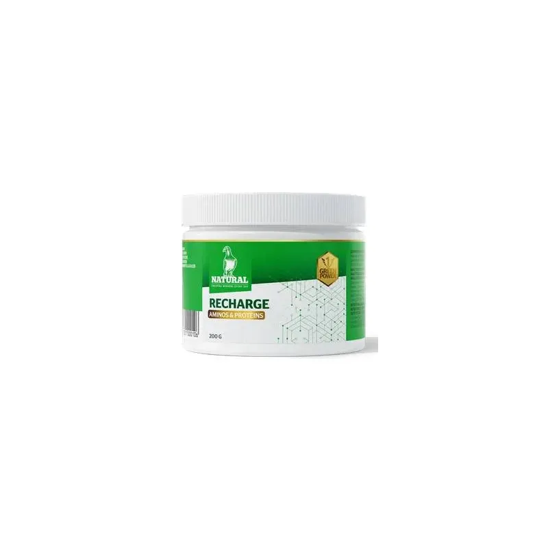 Green Power Recharge 200gr - Natural Green Power Recharge 200gr - Natural