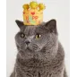 Couronne d'anniversaire Chat 7,5cm - Fofo's Couronne d'anniversaire Chat 7,5cm - Fofo's