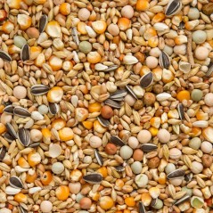 DLC 23/01/2026 - Mélange Repos / Hiver 25kg - Beyers - 21,30 € - Beyers - 5411860010064 - Ornibird SRL