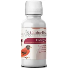 Carduelis Energy 100ml - Avianvet à 9,55 € - Avianvet - 105874 - Vitamines et Compléments