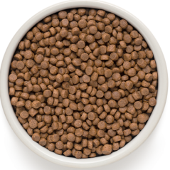 DLC 06/12/2025 - Chat Sterilized - 4 Viandes 2kg - Grandorf - 25,65 € - Grandorf -  - Ornibird SRL