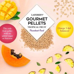 DLC 12/25 - Pellets gourmands aux fruits tropicaux Cockatiel 567gr - Lafeber's - 13,95 € - Lafeber's - 041054526405 - Ornibird SRL