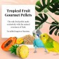 DLC 12/25 - Tropical Fruit Gourmet Pellets Perruche 1,8kg - Lafeber's DLC 12/25 - Tropical Fruit Gourmet Pellets Perruche 1,8kg - Lafeber's