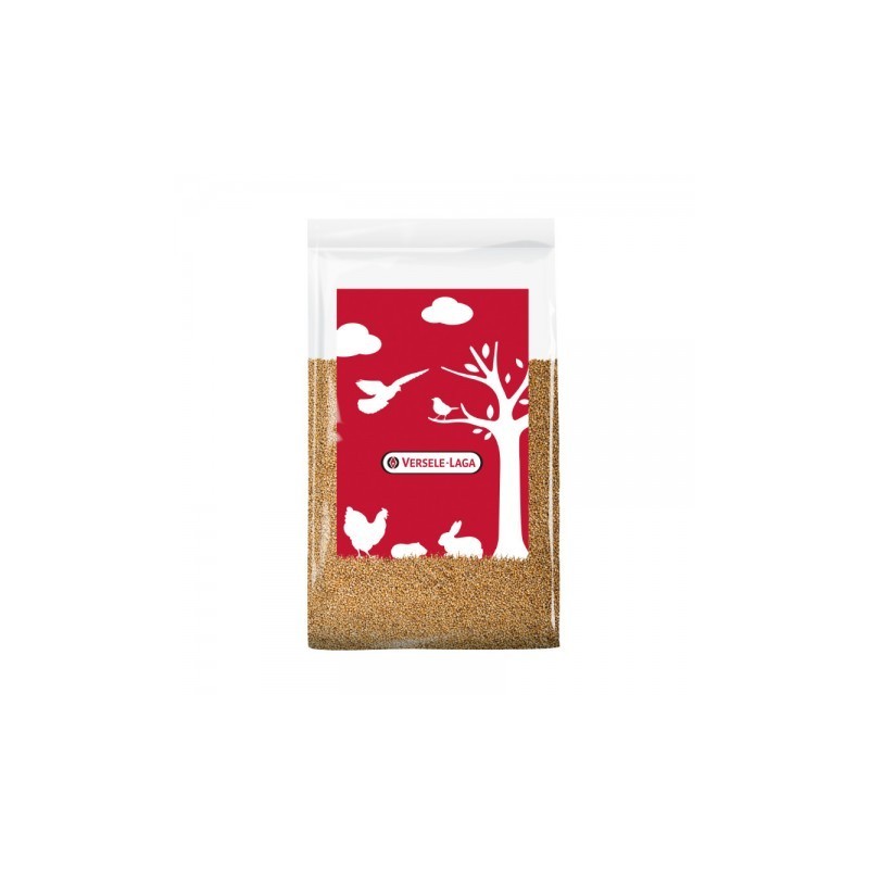 DLC 02/26 - Versele-Laga Blé Fourrager 20kg DLC 02/26 - Versele-Laga Blé Fourrager 20kg