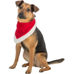Foulard Xmas 55cm - Trixie - 3,95 € - Trixie - 4053032618077 - Ornibird SRL