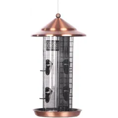 Ornibird SRL - Accueil