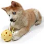 Junior Petit jouet à mâcher Milo Jaune 18cm - Duvo+ Junior Petit jouet à mâcher Milo Jaune 18cm - Duvo+