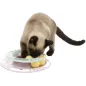 Junior Kitten Circle 24cm - Trixie