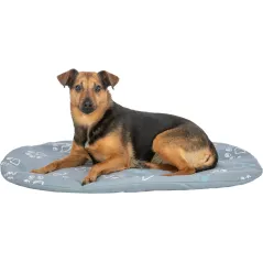 Coussin Jimmy 64x41cm - Trixie - 12,95 € - Trixie - 4011905684369 - Ornibird SRL