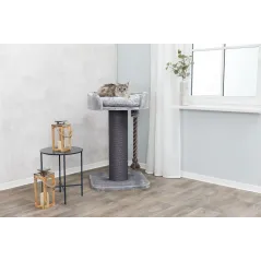 Arbre à chat XXL Klara 60x60-100cm - Trixie - 189,00 € - Trixie - 4011905446769 - Ornibird SRL