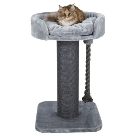 Arbre à chat XXL Klara 60x60-100cm - Trixie à 189,00 € - Trixie - 44676 - Arbre à chat & griffoir