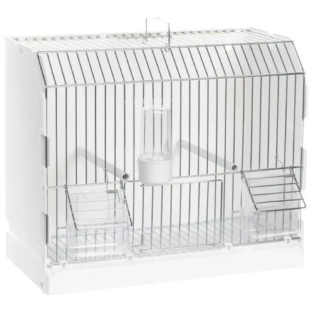2G-R - Ornibird SRL