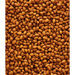 DLC 04/12/25 - G14 Granulés extrudés - aliment d'entretien pour grandes perruches 1kg - Nutribird - 10,70 € - Nutribird - 5410340221136 - Ornibird SRL