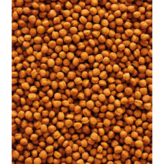 DLC 03/01/26 - T16 Granulés extrudés - aliment d'entretien pour grands oiseaux frugivores et insectivores 700gr - Nutribird - 7,00 € - Nutribird - 5410340221334 - Ornibird SRL