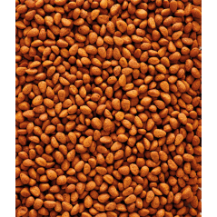 DLC 05/02/26 - G18 Original Granulés extrudés - aliment d'élevage pour grandes perruches 10kg - Nutribird - 55,30 € - Nutribird - 5410340221181 - Ornibird SRL