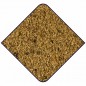DLC 02/26 Expert Pâtée Fruits 1kg - Witte Molen DLC 02/26 Expert Pâtée Fruits 1kg - Witte Molen