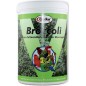 Ornibird SRL - Accueil