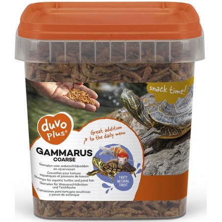 DLC 01/26 - Gammares gros 2,5L - Duvo+ à 29,95 € - Duvo + - 12991 - Vente Flash