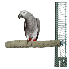 Perchoir en Pierre 20cm/ 2cm - Parrots & Toys - 12,95 € - Vogelhof - Parrots & Toys - 1985000001990 - Ornibird SRL