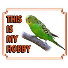Pancarte "This is my hobby" - Perruche Ondulée 12074 Vadigran 5,93 € Ornibird