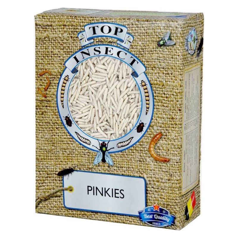 Pinkies (insectes congelés) 450gr - Top Insect TOPINS-PINKIES Nusect Top Insect 8,50 € Ornibird Pinkies (insectes congelés) 450gr - Top Insect TOPINS-PINKIES Nusect Top Insect 8,50 € Ornibird