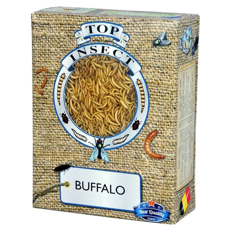 Distraktion charme opføre sig Vers Buffalo (insectes congelés) 425gr - Top Insect à 11,84 € | Nus...