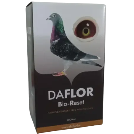 Daflor - Ornibird SRL