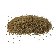 Millet Japonais au kg - Ornibird à 5,45 € - Beyers - 002731/kg - Graines Ornibird au kg