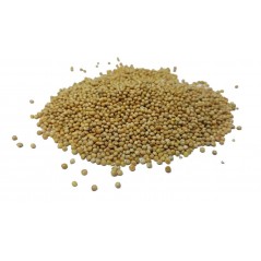 Millet Blanc au kg - Ornibird à 2,35 € - Beyers - 002709/kg - Graines Ornibird au kg