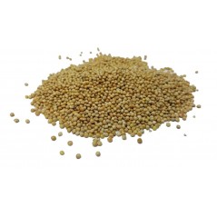 Millet, White at kg - Beyers 002709/kg Beyers 2,35 € Ornibird