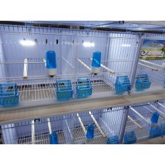 Batterie de 12 cages 64x30x34 Modèle Champion- New Canariz - 1 260,00 € - New Canariz - 1516739131636 - Ornibird SRL