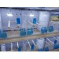 Batterie de 12 cages 64x30x34 Modèle Champion- New Canariz