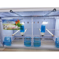 Batterie de 12 cages 64x30x34 Modèle Champion- New Canariz - 1 260,00 € - New Canariz - 1516739131636 - Ornibird SRL