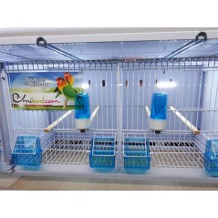 Battery of 12 cages 64x30x34 Model Champion - New Canariz 3000 New Canariz 1,260.00 Ornibird
