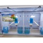 Batterie de 12 cages 64x30x34 Modèle Champion- New Canariz