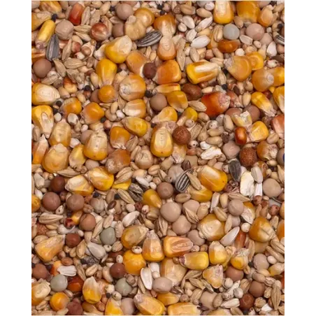 Meu Basic 20kg - Beyers