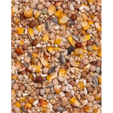 Basic 4 saisons 20kg - Beyers