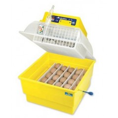 Incubateur couveuse Covatutto 24 Eco - Novital - 274,00 € - Novital - 8010213970160 - Ornibird SRL