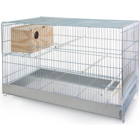 Cage Cova pour inséparables avec nid 46x40,5x71cm - Benelux à 143,75 € - Domus Molinari - 1560072 - Cages