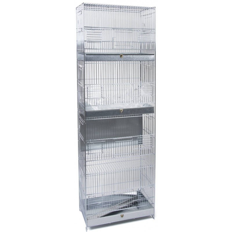 Cage Domus Molinari 4 étages 39x23x114cm 1560053 Domus Molinari 129,75 € Ornibird