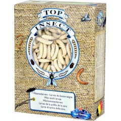 Teignes de Ruches (insectes congelés) 450gr - Top Insect à 31,40 € - Nusect Top Insect - TOPINS-TEIGNE - Insectes