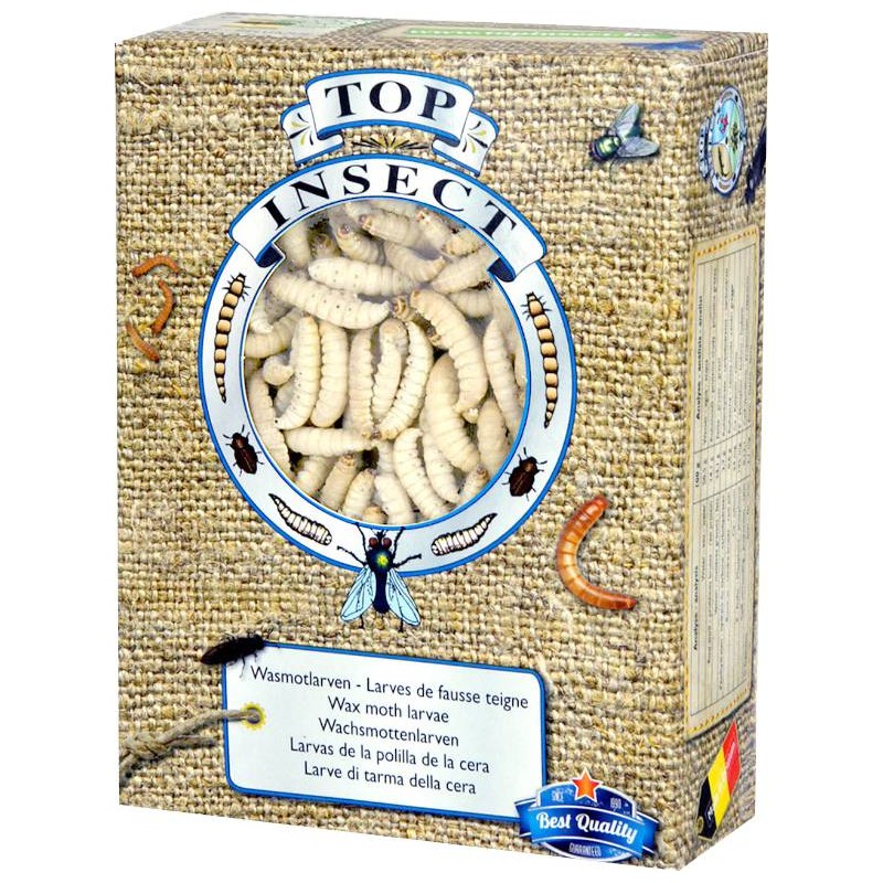 Teignes De Ruches Insectes Congeles 450gr Top Insect A 27 57