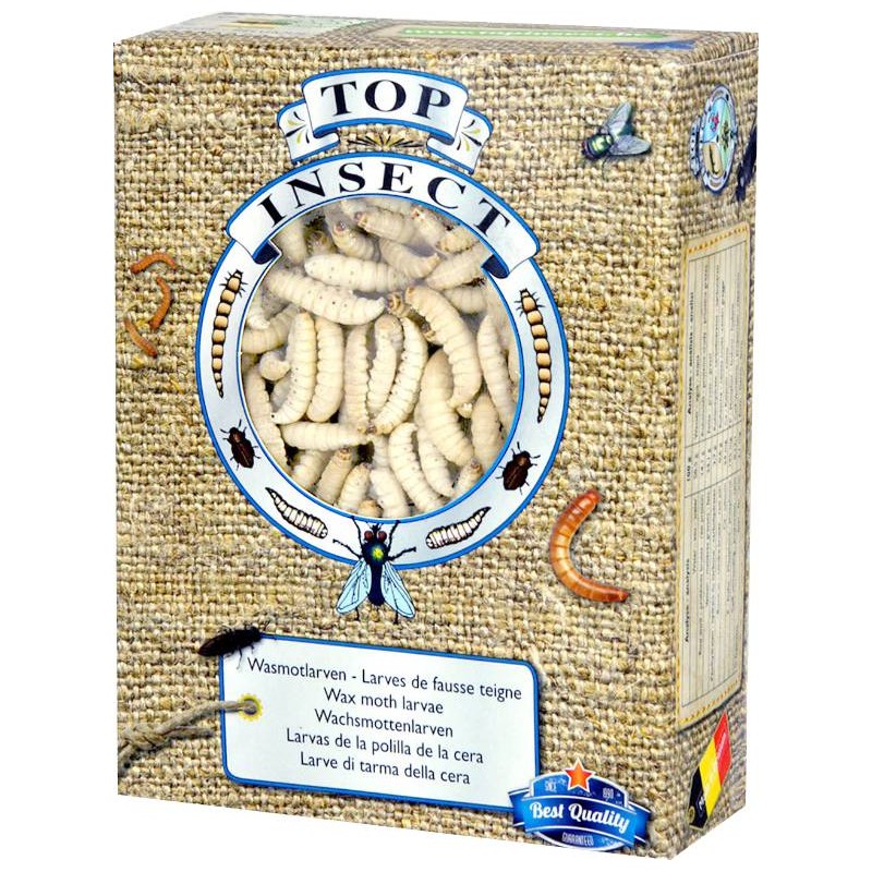 Teignes de Ruches (insectes congelés) 450gr - Top Insect TOPINS-TEIGNE Nusect Top Insect 31,40 € Ornibird