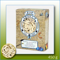 Moths of Hives (insects frozen) 450gr - Top Insect TOPINS-TEIGNE Nusect Top Insect 31,40 € Ornibird