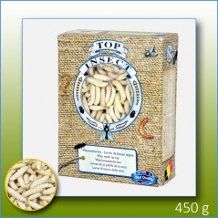 Teignes de Ruches (insectes congelés) 450gr - Top Insect - 31,40 € - Nusect Top Insect - 5425034680045 - Ornibird SRL