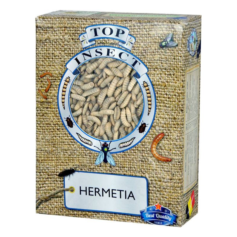 Hermetia (insectes congelés) 500gr - Top Insect Hermetia (insectes congelés) 500gr - Top Insect