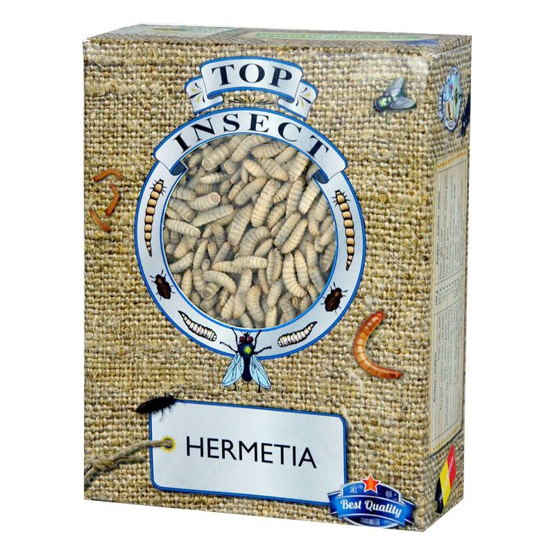 Hermetia (insectes congelés) 500gr - Top Insect TOPINS-HERM Nusect Top Insect 10,25 € Ornibird