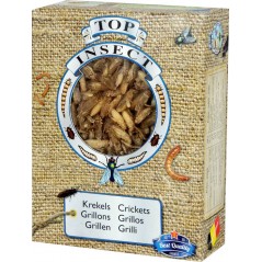 Grillons (insectes congelés) 400gr - Top Insect à 18,55 € - Nusect Top Insect - TOPINS-GRIL - Insectes