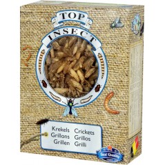 Grillons (insectes congelés) 400gr - Top Insect TOPINS-GRIL Nusect Top Insect 18,55 € Ornibird